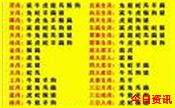 246123天天彩好彩资料